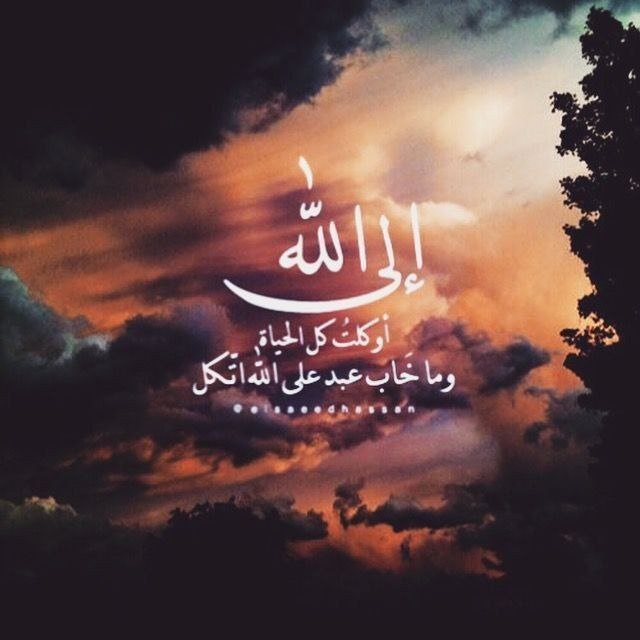 "

﴿ َولَا تَيْأَسُوا مِنْ رَوْحِ اللَّهِ ﴾

-  ﻣﻬﻤﺎ ﻛﻨﺖ ﻓﻲ هم وﺷـــﺪﺓ ﻭﺿــــﻴﻖ

- ﺛﻖ بـــــ #الله واستبشر خيراً 🌿

#يالله

🍃✨