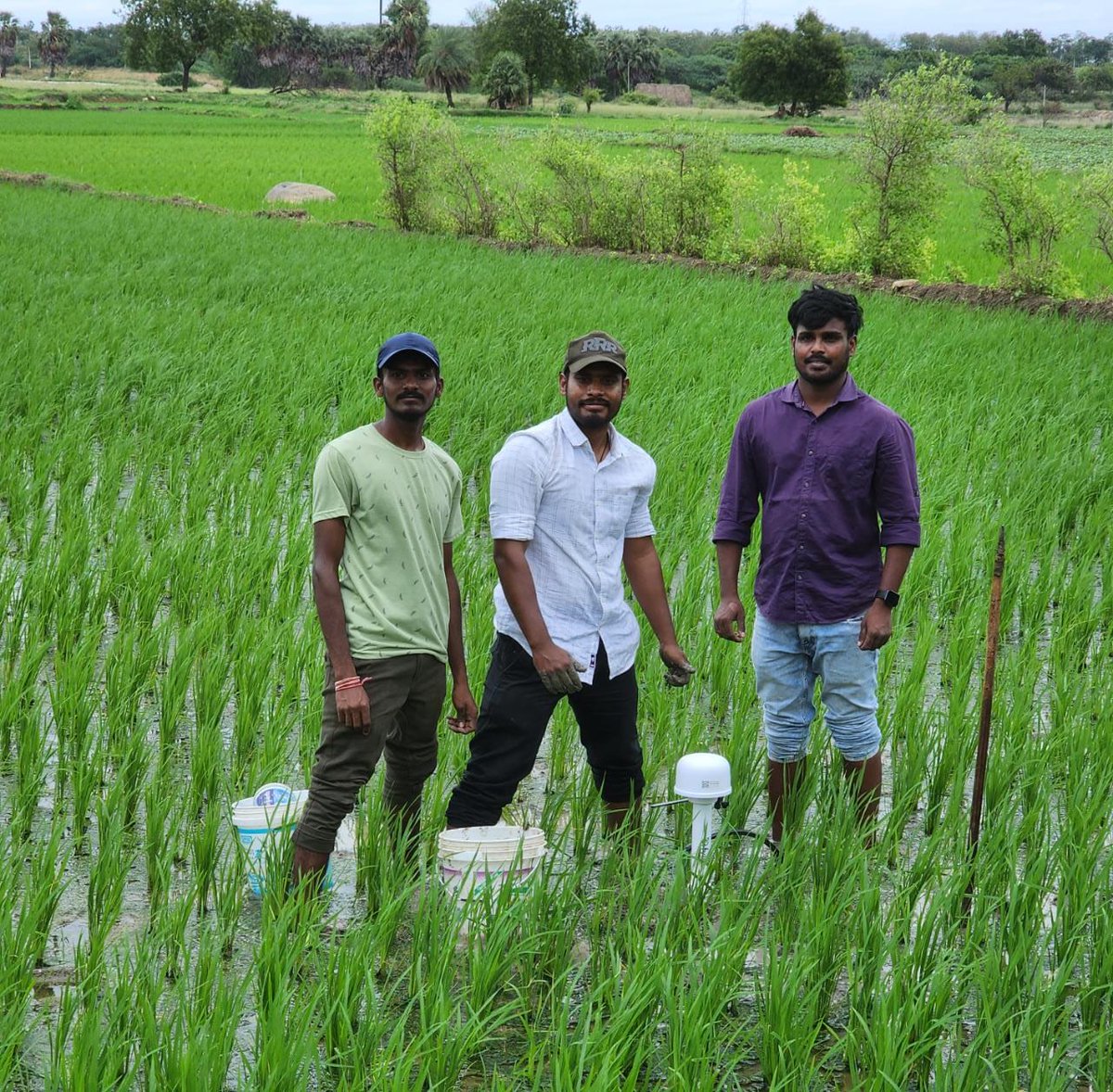 EOMRV's tweet photo. Another dozen soil moisture sensors installed in UP. https://t.co/Pi4RxXEkgE