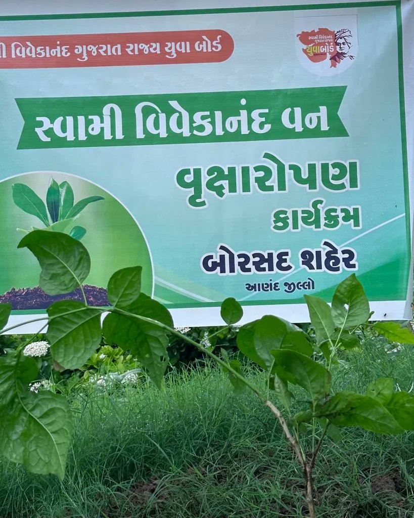 JimitPa07407703's tweet photo. *આજ રોજ *તારીખ ૨૩/૭/૨૦૨૩ ને રવિવાર ના રોજ સ્વામી વિવેકાનંદ ગુજરાત રાજ્ય યુવાબોર્ડ દ્વારા વૃક્ષારોપણ નો કાર્યક્રમ કરવા માં આવ્યો.*
*સ્થળ: મૈત્રી ફામ નાવડ ટેકરિયાર પુરા માં રાખેલ હતો તો સૌ સંયોજક કાર્યકર મિત્રો હાજર રહ્યા.* https://t.co/MVQ2pAGH36
