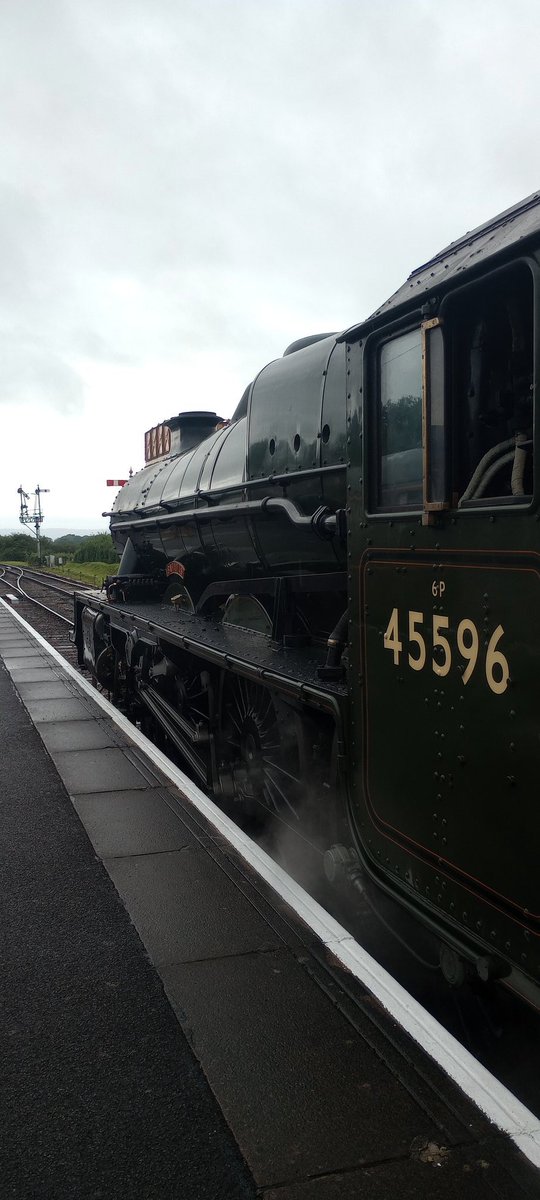 Down Relief tweet media