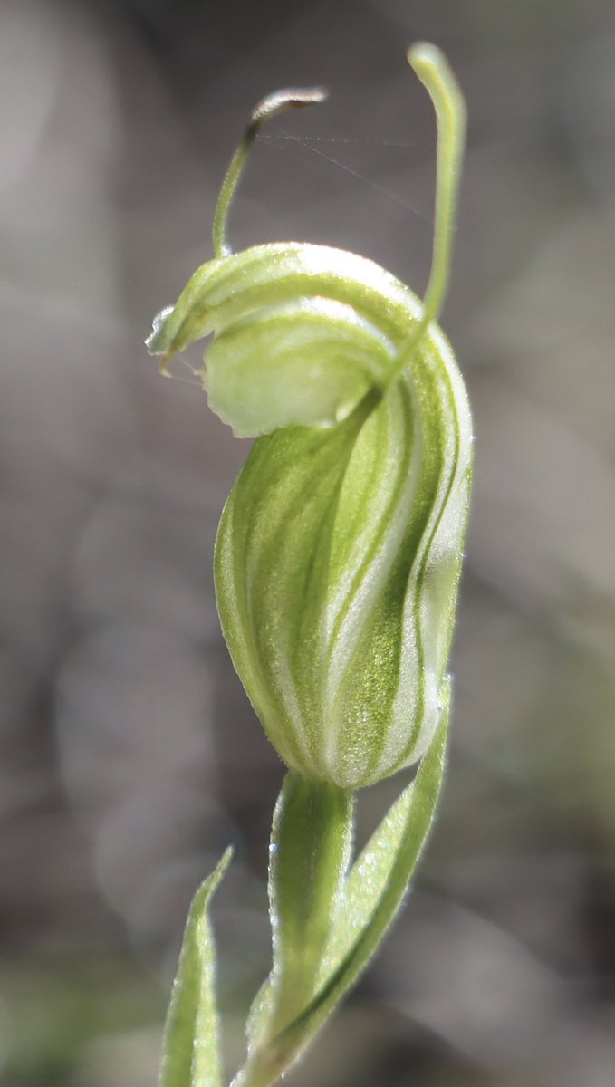 Keith Walton tweet media