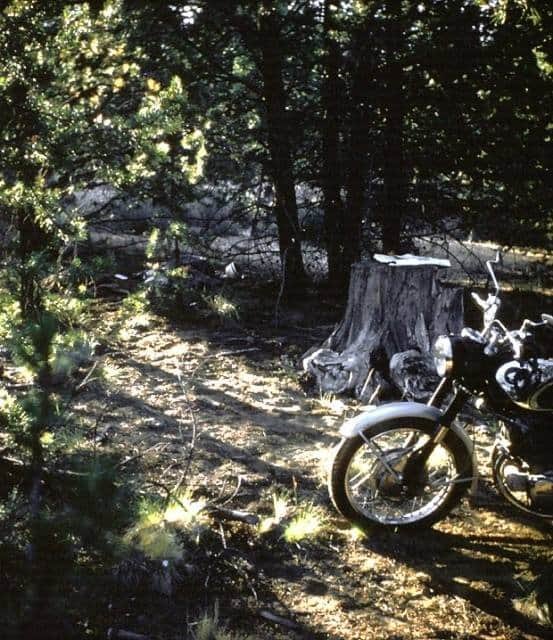 ZmmQuality's tweet photo. DAY 15: July 22 , 1968.  Morning in #Oregon, near #LaPineOR.  #RobertMPirsig's own #vintagephoto as described in his book #ZenandtheArtofMotorcycleMaintenance.  #JulyRetrace #RobertPirsig #Honda #CB77 #Superhawk #motorcycle #camping 
https://t.co/bs60AVZdPw https://t.co/hZEd3VQPSI
