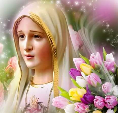 AJesusporMaria5's tweet image. Bendita sea tu pureza y eternamente lo sea,pues todo un Dios se recrea en tan graciosa belleza.
A ti, celestial princesa, Virgen sagrada, María,te ofrezco en este díaalma, vida y corazón.
¡Mírame con compasión! ¡No me dejes, Madre mía¡