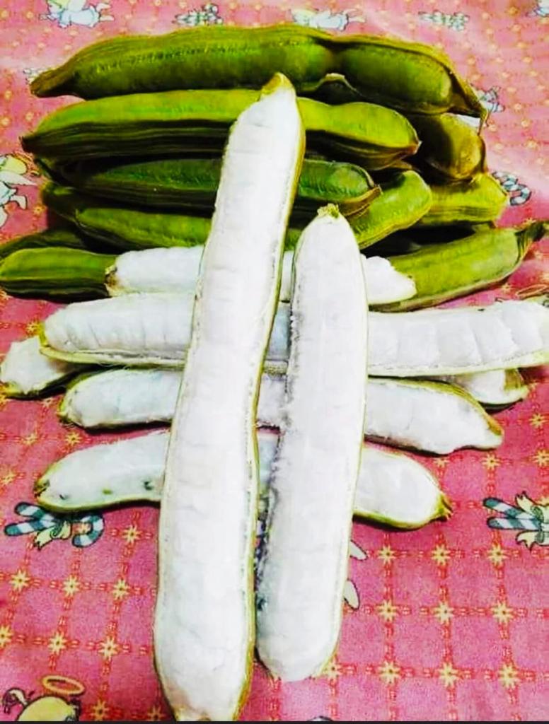 tagoretoro's tweet image. La felicidá: