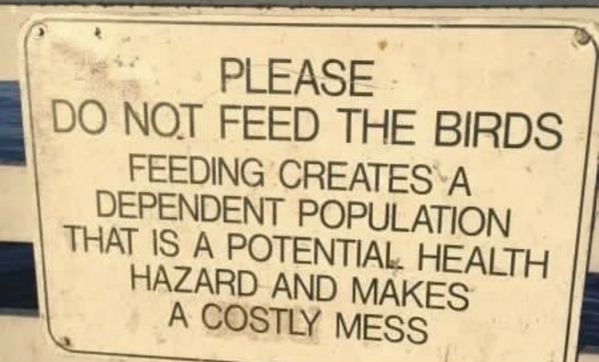 WallStreetMav's tweet image. This only applies to birds, right? 👀🚨