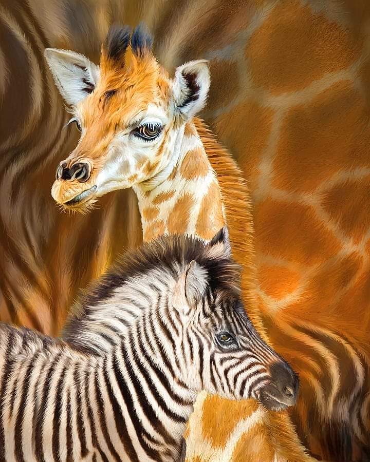ElseedUg's tweet image. Little Unity in diversity 
( Giraffe 🦒 &amp;amp; zebra)
Oils and partly acrylics painting on canvas
#UnityIsPower #wildanimals #endangeredspecies