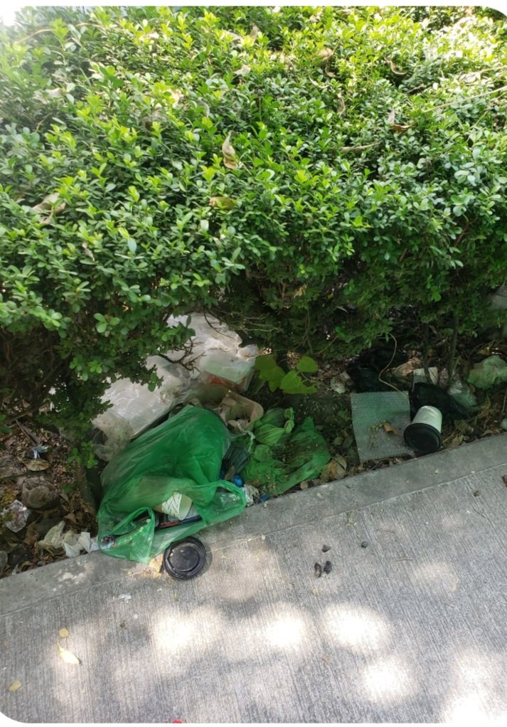 Mauricog83's tweet photo. @locatel_mx @Bj_comunidad @MULTIFARMACIAS @SacmexCDMX @AccionesBJ @BJAlcaldia @STaboadaMx @adn40 @Banquetaslibre Buenas noches, tenemos días que cambiaron un poste y dejaron basura, además cables de luz en la vía pública y ramas de árboles.

También necesitamos la poda de árboles y limpieza de la calle

Es urgente !! https://t.co/oPXiRJCYpl