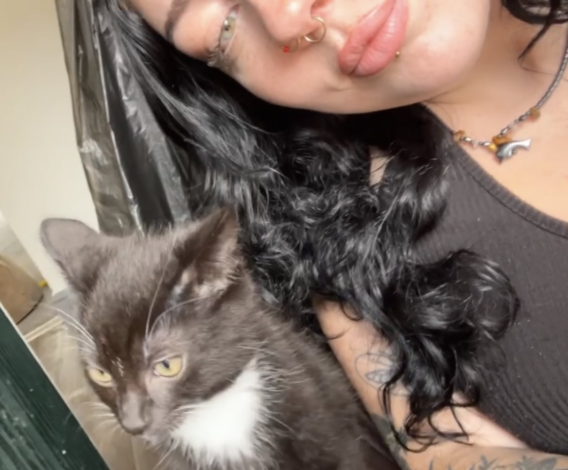 deathshvnd's tweet photo. a week of you lil rue, a forever of reaction pics to come🦘🐾 https://t.co/pMzKxF21Ry
