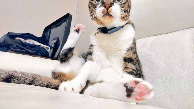 いいとこで切れてるけど、普段からわりとこんな目つきですきなっち