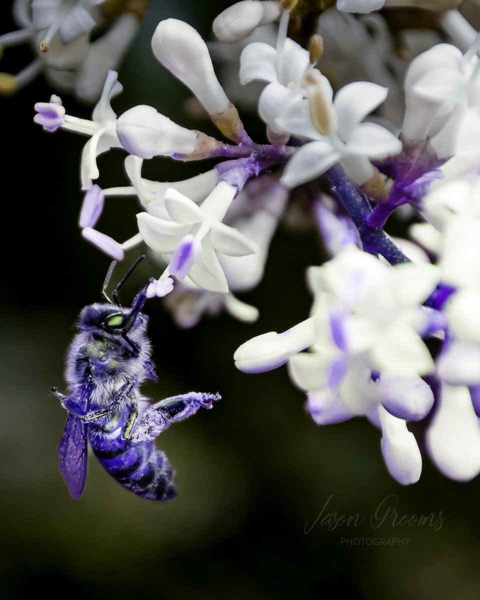 Hanging on by a toe…