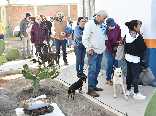 CANIrapuato's tweet photo. 🐶 En nuestra última jornada de Esterilización Canina y Felina logramos beneficiar a más de 300 mascotas, quienes gracias a sus #DueñosResponsables y a la @JSVI_Irapuato recibieron la cirugía completamente gratis. El amor a nuestros animalitos viene desde la prevención. 🐱 https://t.co/fxVI7O8gxo