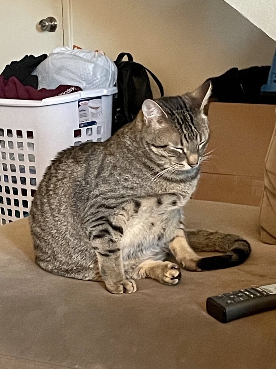 no one man should have all that eepy ....