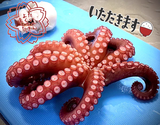 先に処理したえらいそして美味しそう 