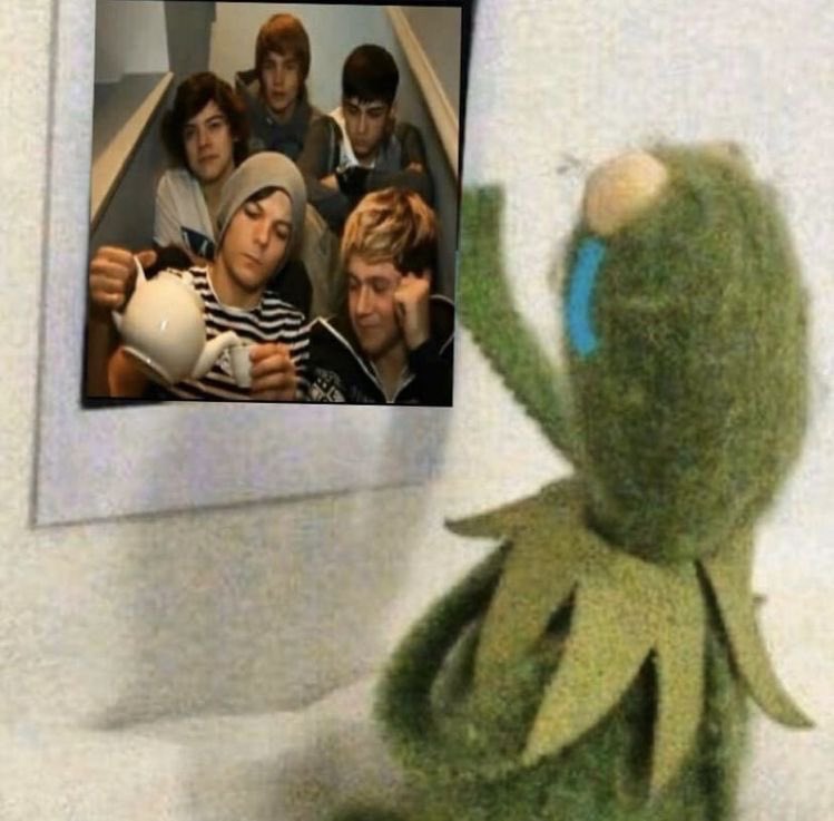 flickeryxx's tweet image. eu estou exatamente assim agora #13YearsOfOneDirection