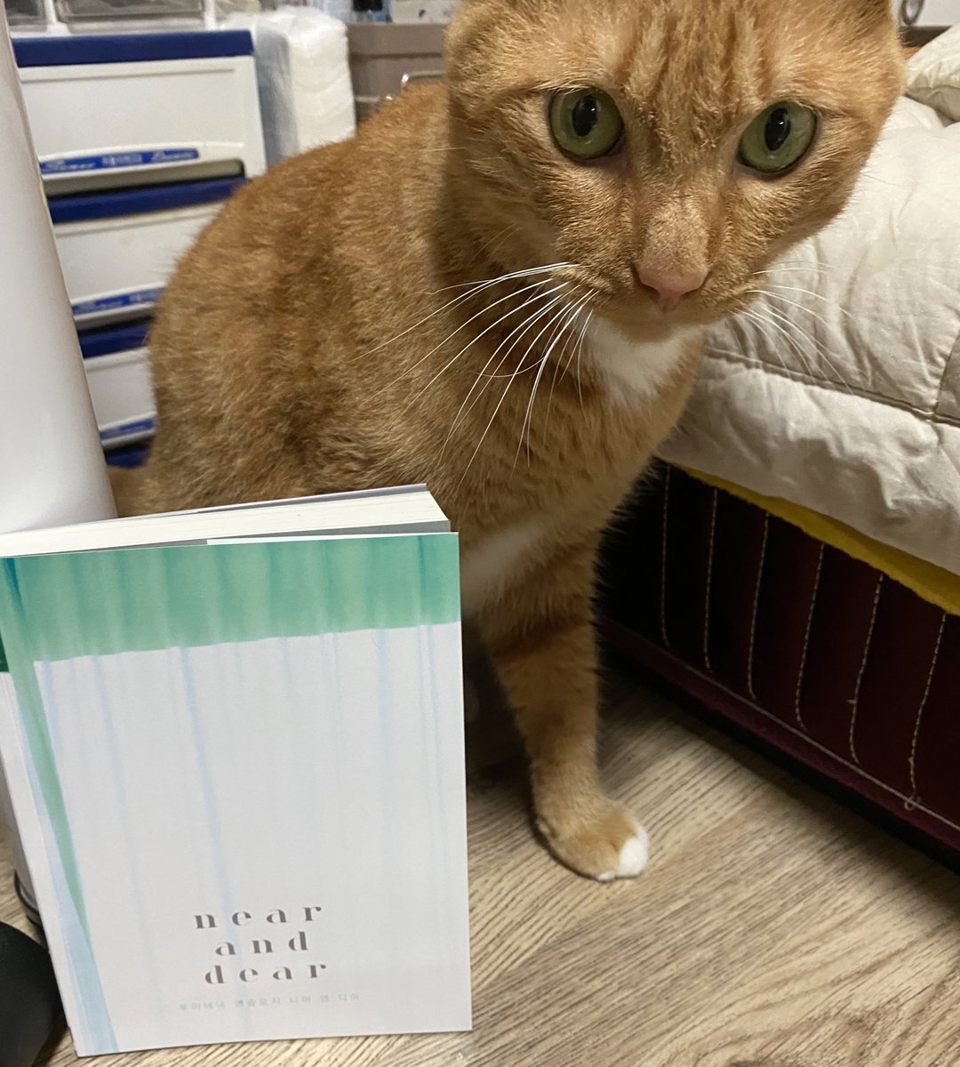 앤솔 왔어용 이번주말 독서왕이 되어야지