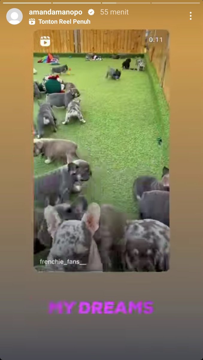 KehangatanAl 🐻🫦 tweet media