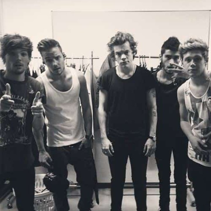 louishcats's tweet image. 13 aninhos deles que me confortam nos momentos mais difíceis, que me fazem rir nos meus dias mais escuros, que foram e são a luz me guiando no escuro! não consigo achar palavras que sejam capazes de agradecee e descrever o quanto eu amo vocês &amp;lt;3 

#13YearsOfOneDirection