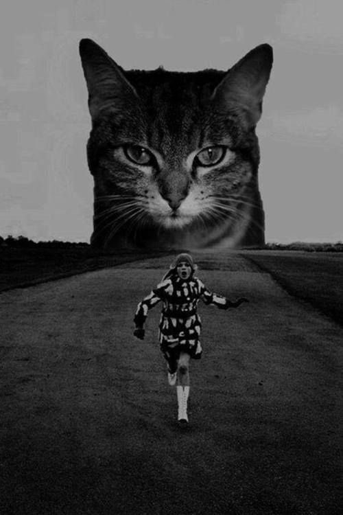 Sacred_Charm's tweet photo. @TweetGirlLove 💠 S A C R E D 💠 C H A R M 💠 https://t.co/1sBBKKyo3k