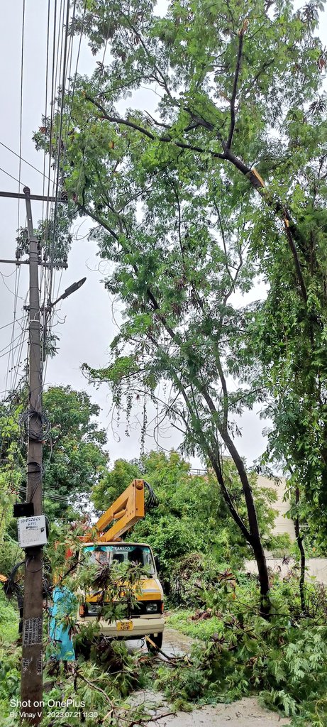 I would like to thank @TsspdclCorporat Matrusri Nagar Team for pruning only problematic branches interrupted power supply on 21st July n being empathetic towards them 🙇☺️ @HarithaHaram @dobriyalrm @pargaien @DRonaldRose @HiHyderabad @swachhhyd @revathitweets @vata_foundation