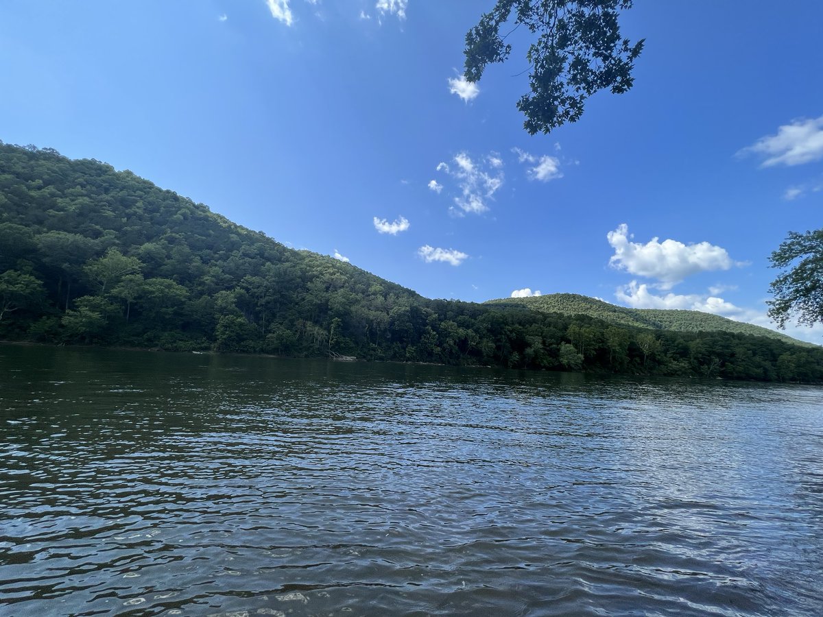 cottonplantkid's tweet photo. We took the crew fishing for the weekend. Great times were had by all. #whiteriver #jacksresort https://t.co/7w9v4cvcyq