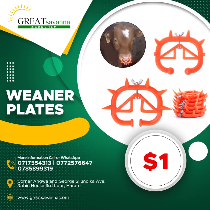 greatsavanna's tweet photo. All your livestock accessories under one roof!!!!

#rabbittags
#goattags
#cattletags
#pigtags
#tagapplicators
#weanerplates
#pignipples
#rabbitnipples
#livestockprojects https://t.co/D4RPV4gez8