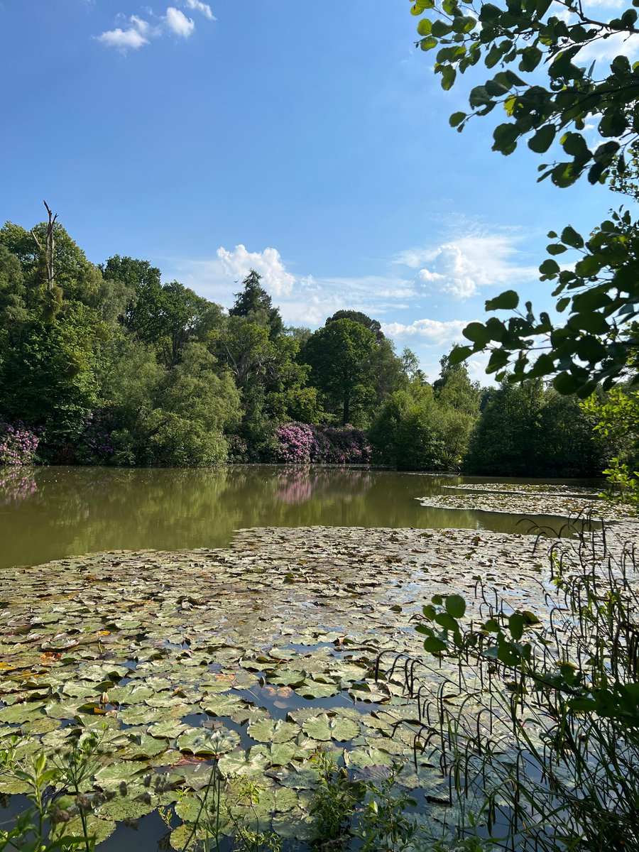 NotaBeneGlobal's tweet photo. A perfect day in the U.K. countryside.

#WeKnowWhere https://t.co/4KhQ7IPENE