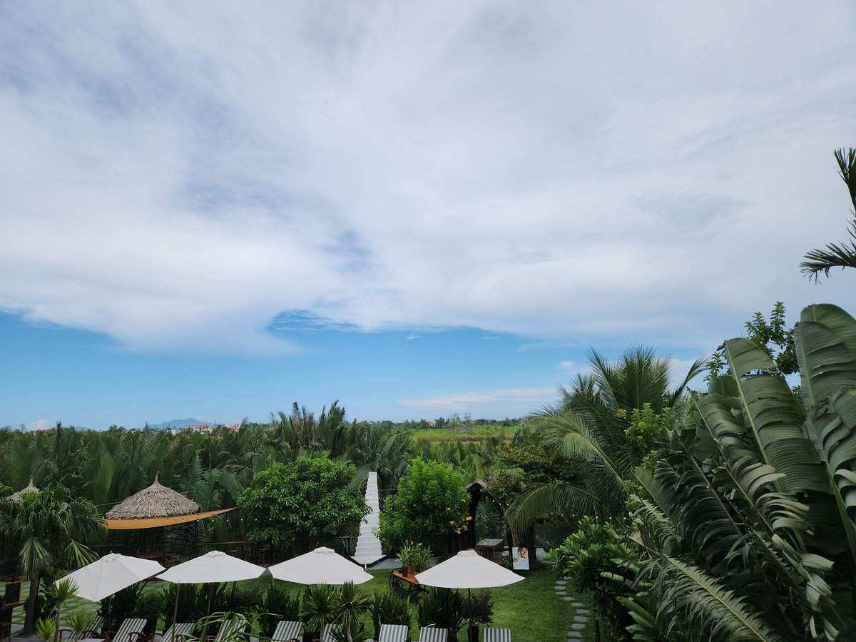 thehc79's tweet photo. Bình yên cuối tuần 👣🗾🐜 https://t.co/tUQdVDG6Vw