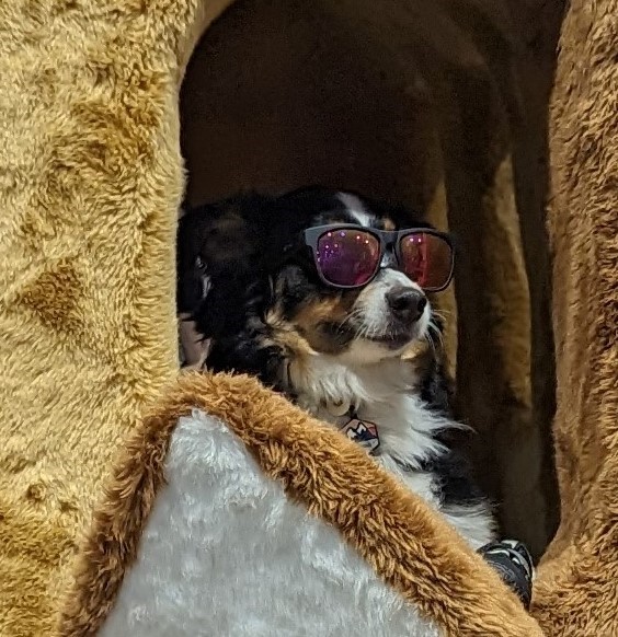 Favorite thing I saw at Comic-Con so far 🤣 <a href="/ghiblipicture/">anime picture</a>