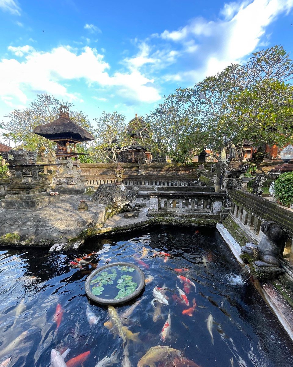 Thandi Phoenix tweet media