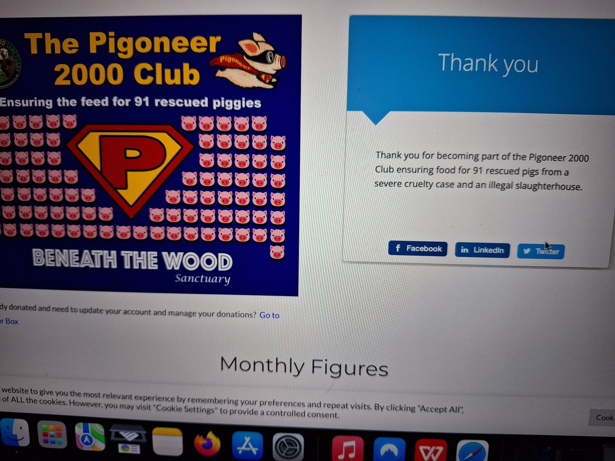RickTheV1's tweet image. Nice to finally join the #pigoneer gang.. I donate to sanctuaries in my adopted countries, but glad to do a tiny bit to help out a wonderful sanctuary back in the motherland 👌