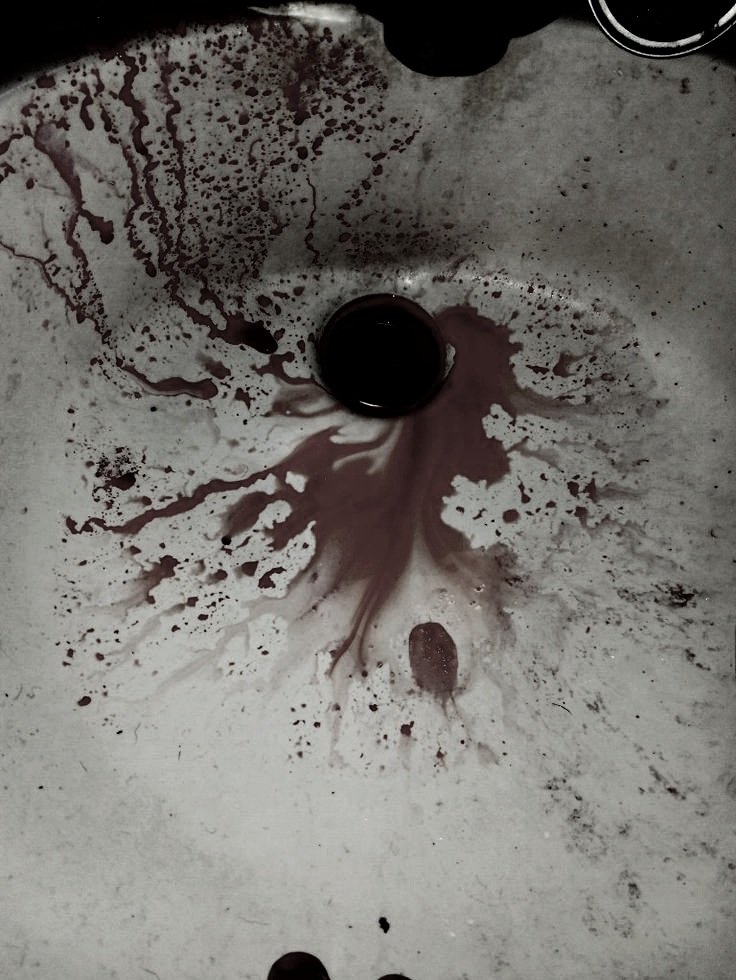 𝑨𝒍𝒚𝒂 tweet media