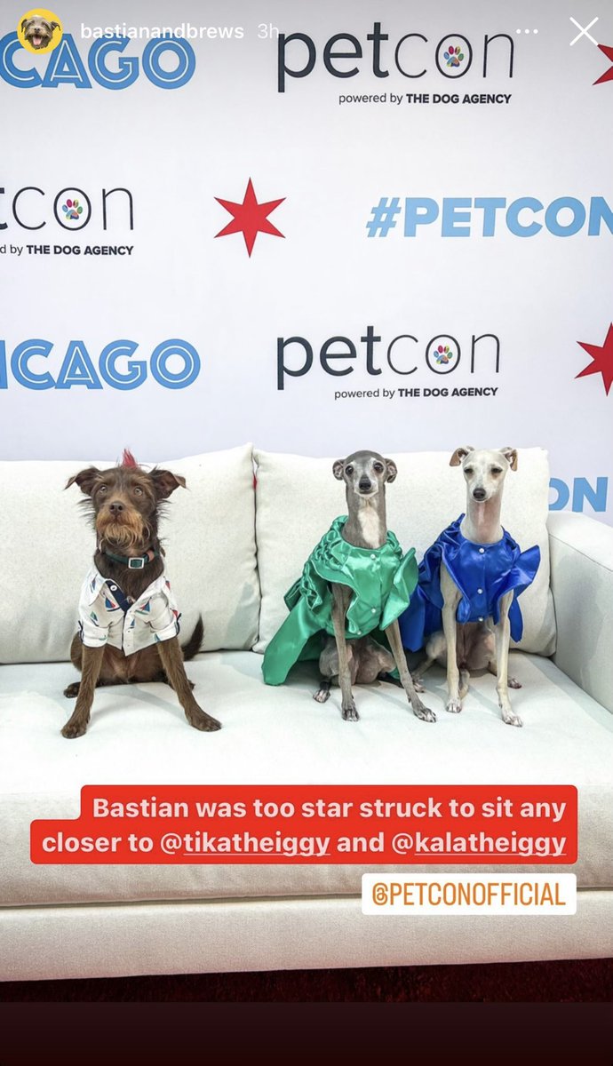 PetCon tweet media