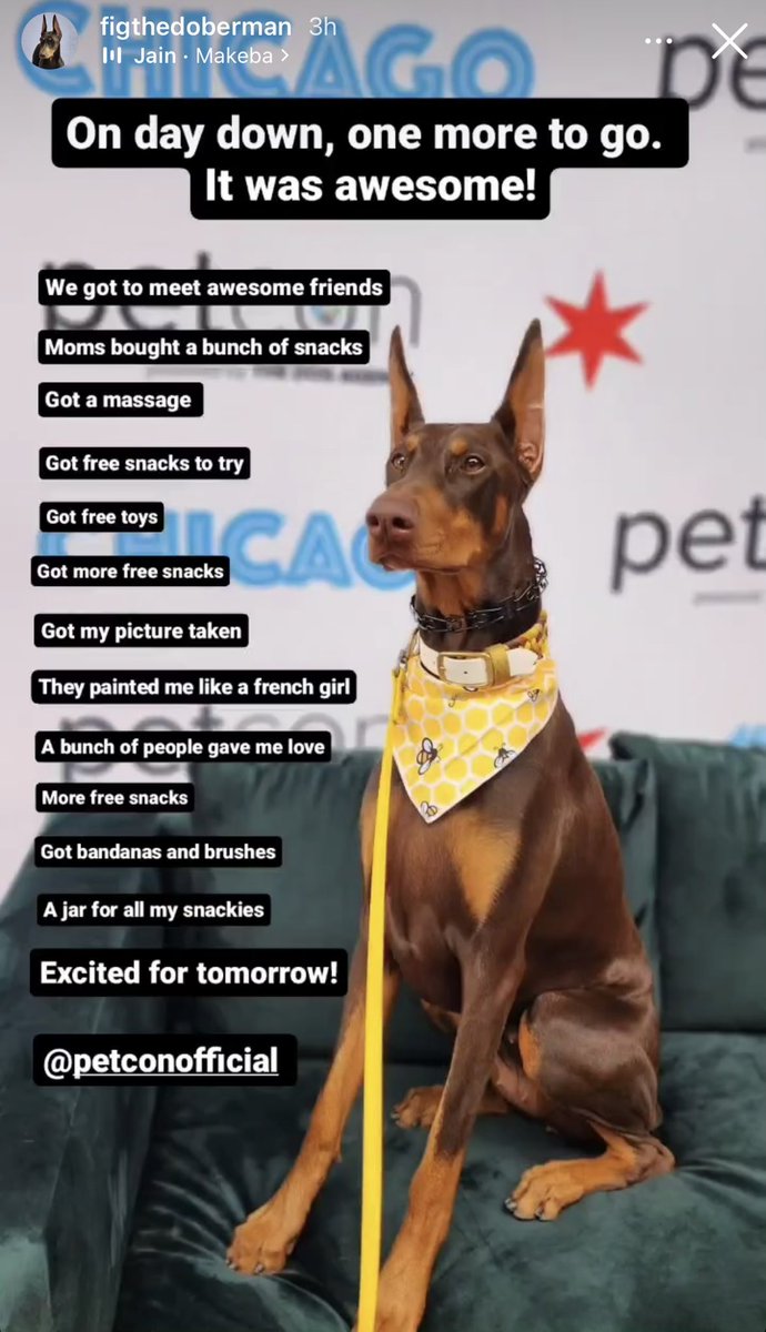 PetCon tweet media