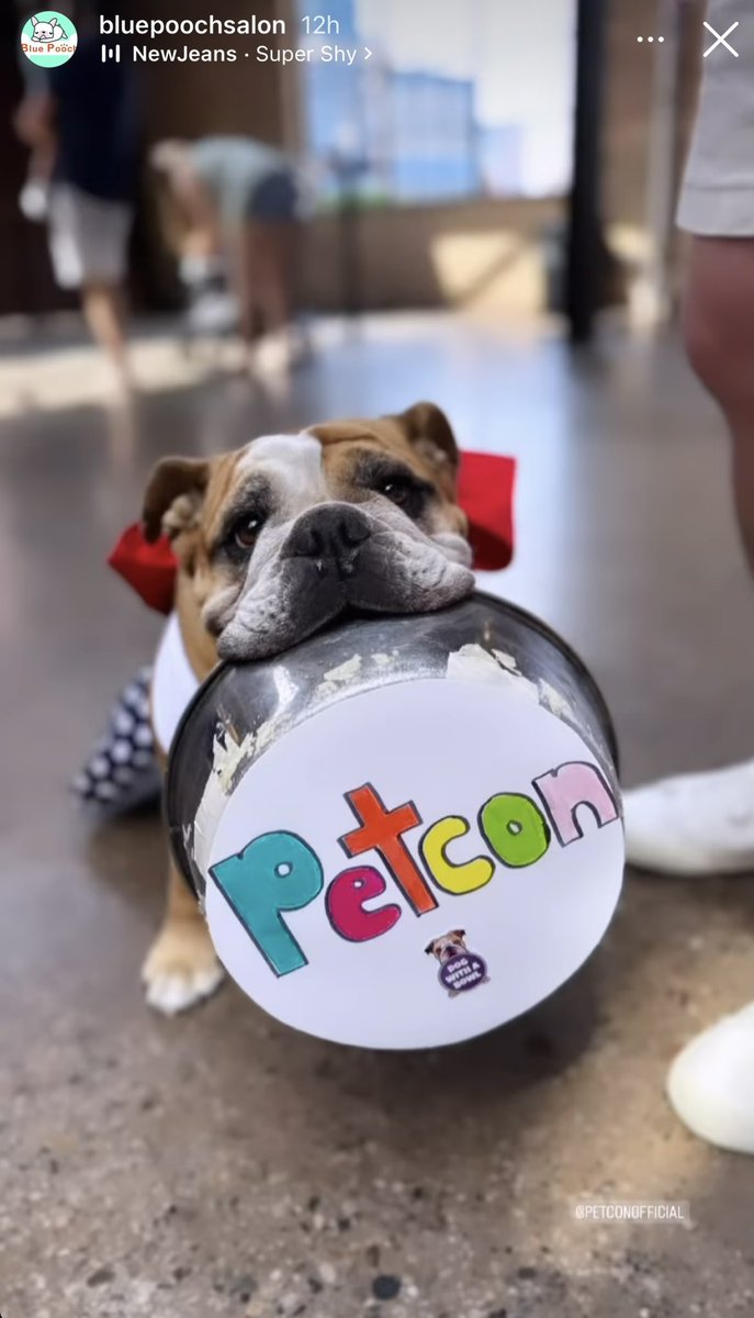 PetCon tweet media
