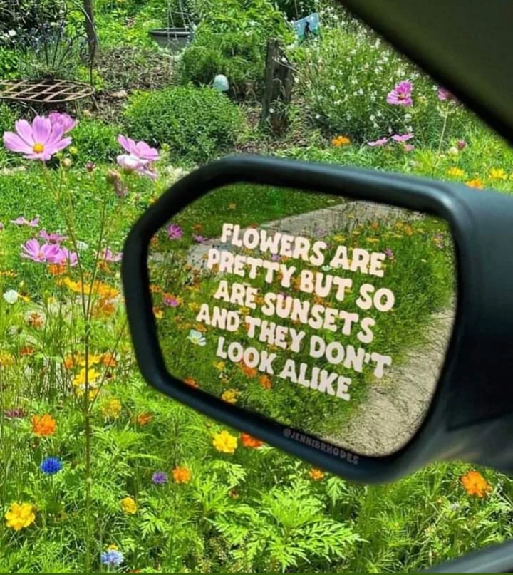 WholesomeMeme's tweet photo. https://t.co/LsZYW95ty5