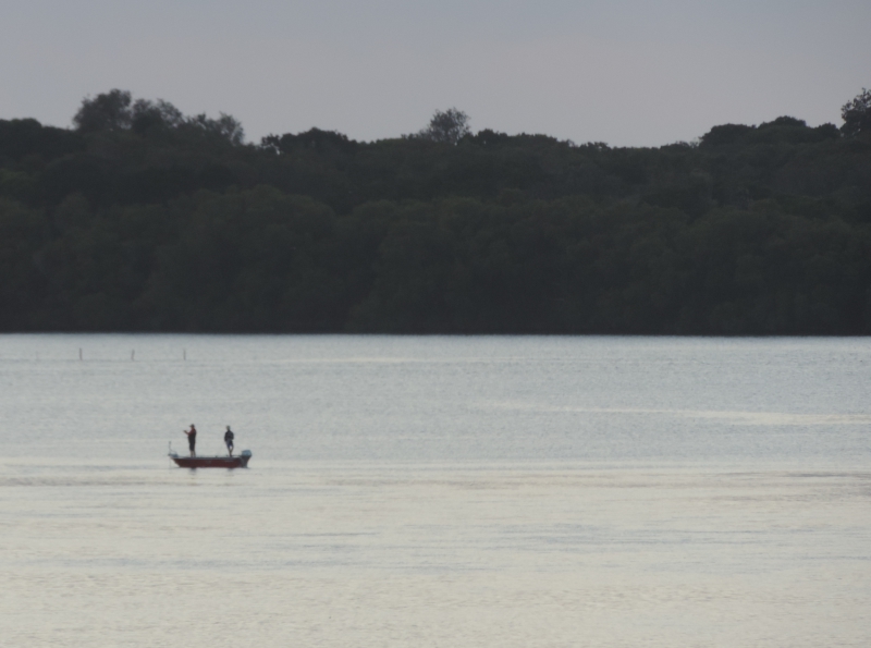 Daily Wisdom - mailchi.mp/wccm/ywfciz5o8…