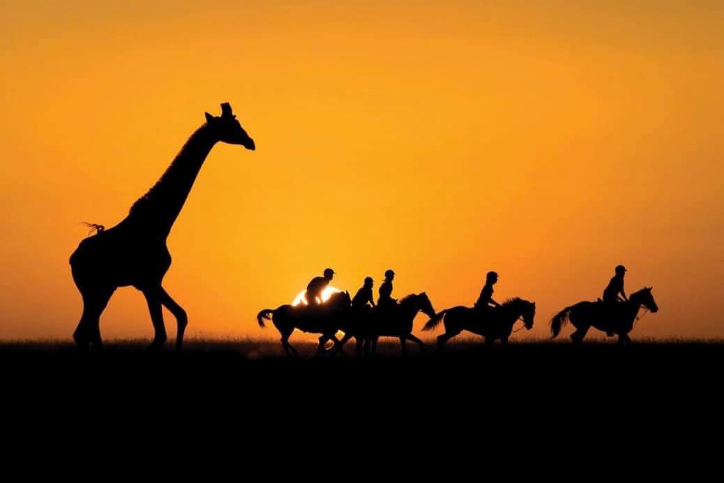 Erin3210's tweet image. There is infinite wonder and beauty in the animal world. Their existence reminds us to respect and preserve nature 🐾🌍✨ #animal #nature #camera #lens #light #exposure #shutterspeed