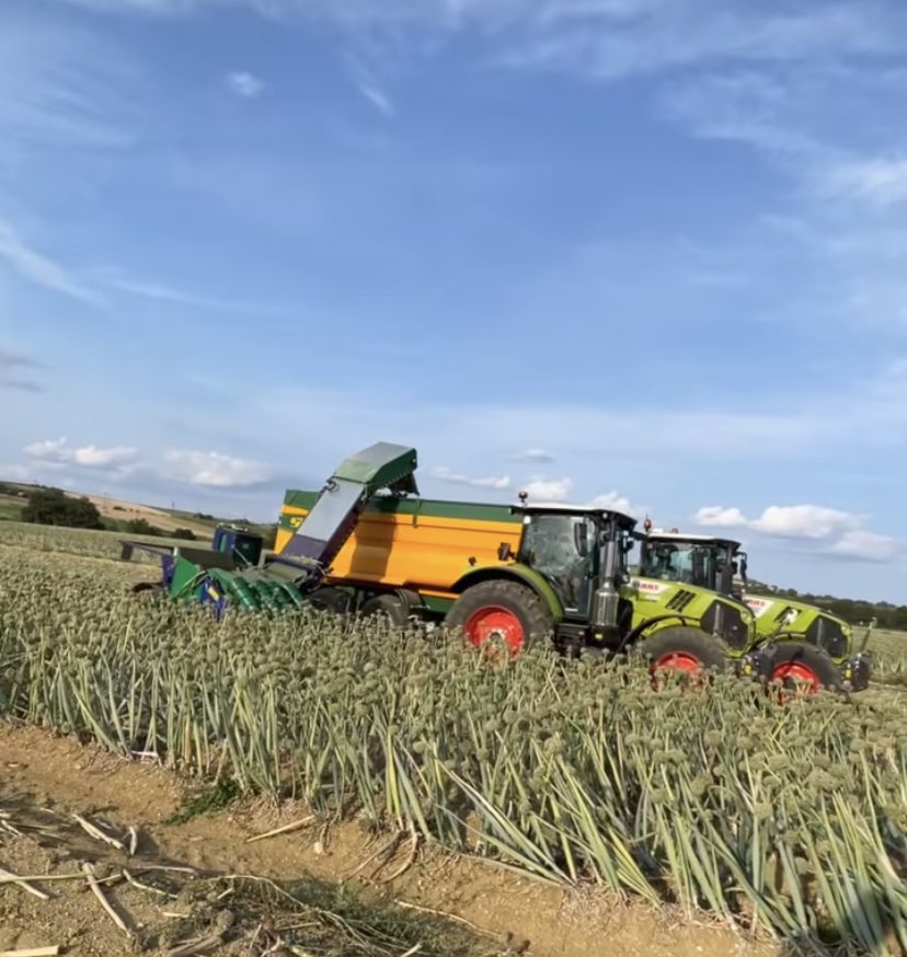 damF032's tweet image. Récolte d’oignon semence @LaFNAMS @semae_officiel @semaeSudOuest @Limagrain @CLAASFrance