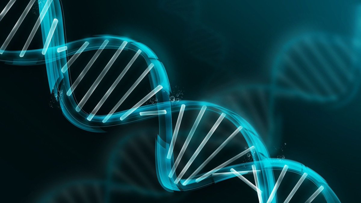 AndGenomics's tweet photo. The future of plant genomics is here! Long-read sequencing technologies are paving the way for new discoveries and breakthroughs. Stay ahead of the curve with this enlightening article: https://t.co/UoXMTElZR5 #FutureOfGenomics #PlantResearch https://t.co/0HVZ78LdPc