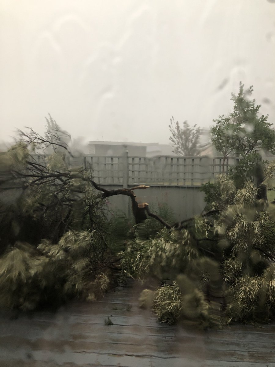 That was some windy wind.