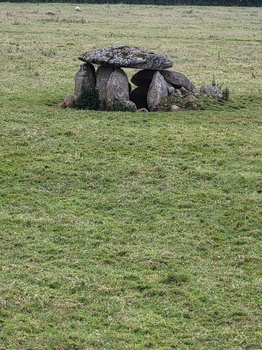 How very radically the landscape must have changed over the millennia since this Wicklow portal tomb was built. From a hugely species-rich wild natural ecosystem down to just sheep + bared grass. No wonder Ireland is among the very worst places for nature on the entire planet.