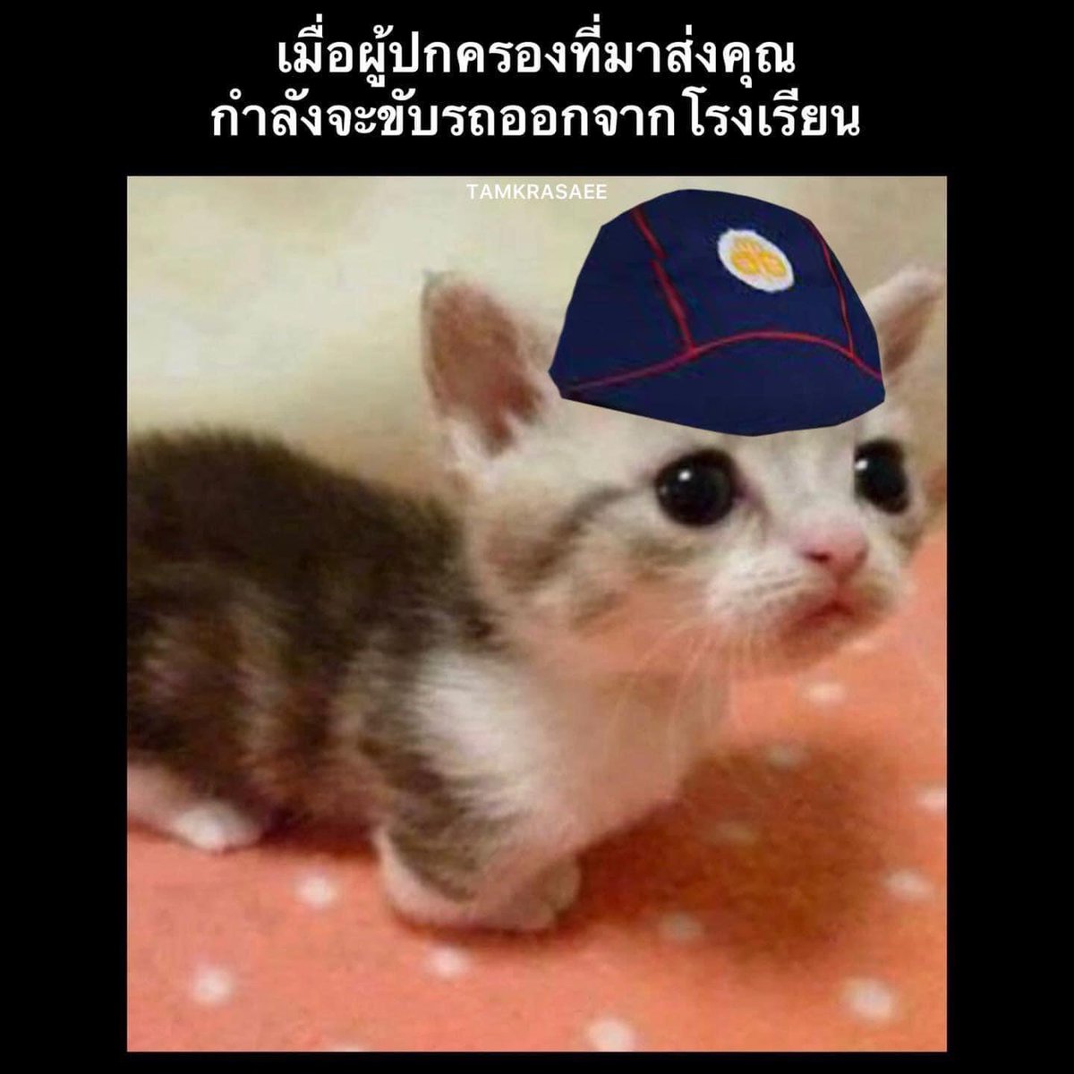 herbbqqs's tweet photo. https://t.co/xYWBmOVBZ2