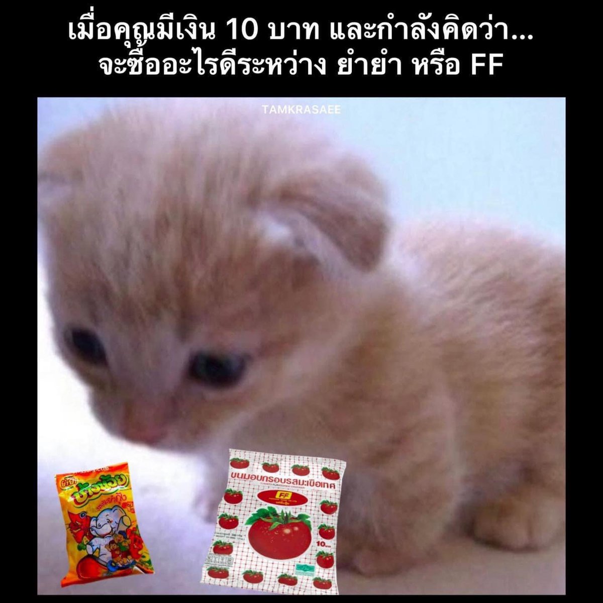 herbbqqs's tweet photo. https://t.co/xYWBmOVBZ2