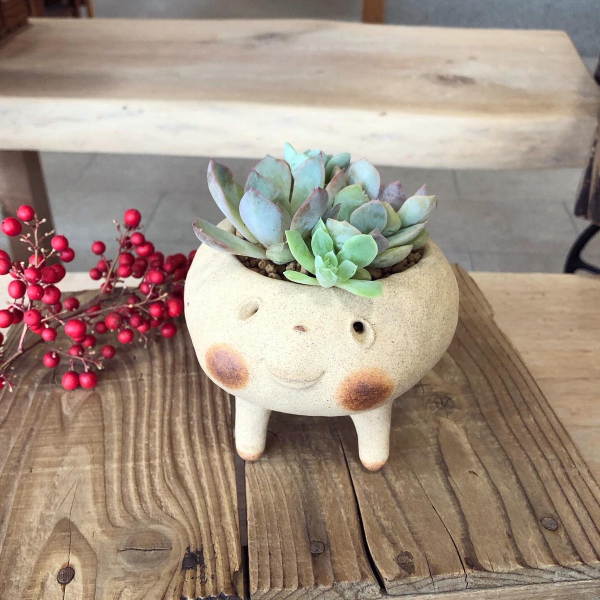 こじこじ大きいのも完売したそうです。
どうもありがとうございました。
これからご予定されていた方はすみません🙇‍♀️

『植木鉢展』は魅力的な作品いっぱいで
8月6日まで開催です。
ぜひ足をお運びください！
kasama-hisa.jp