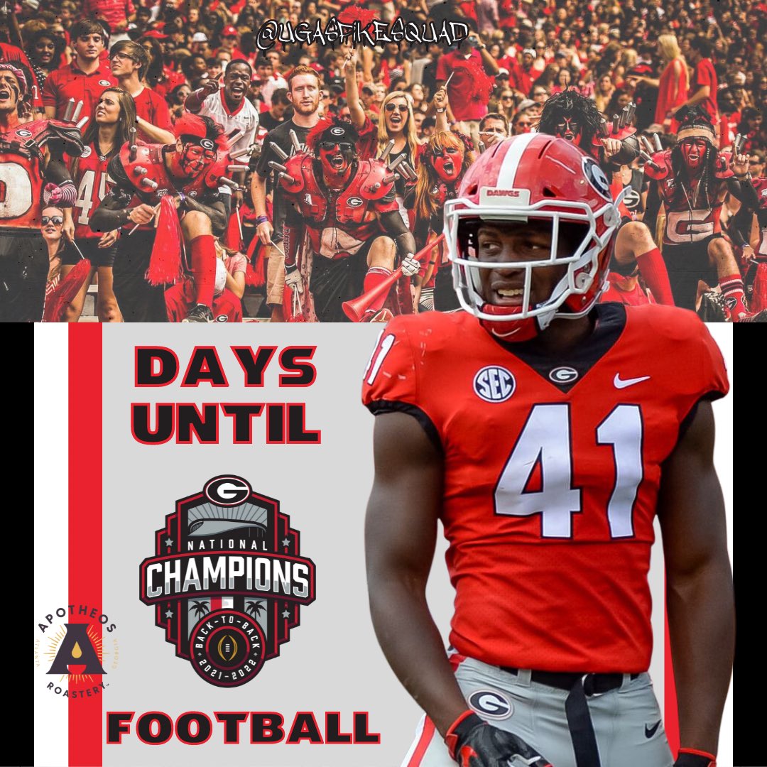 #ClassicCityCountdown: 41 Days until #UGA football!

Player: Channing Tindall  (@Kingschan_ )

Fun Fact: Channing finished his UGA career with 12 sacks. He was drafted in the third round of the 2022 #NFLDraft by the Miami Dolphins. 

Go to https://t.co/KdhlPhAmbM to find out more… https://t.co/sQFfPFikIC https://t.co/AjAXOer64T