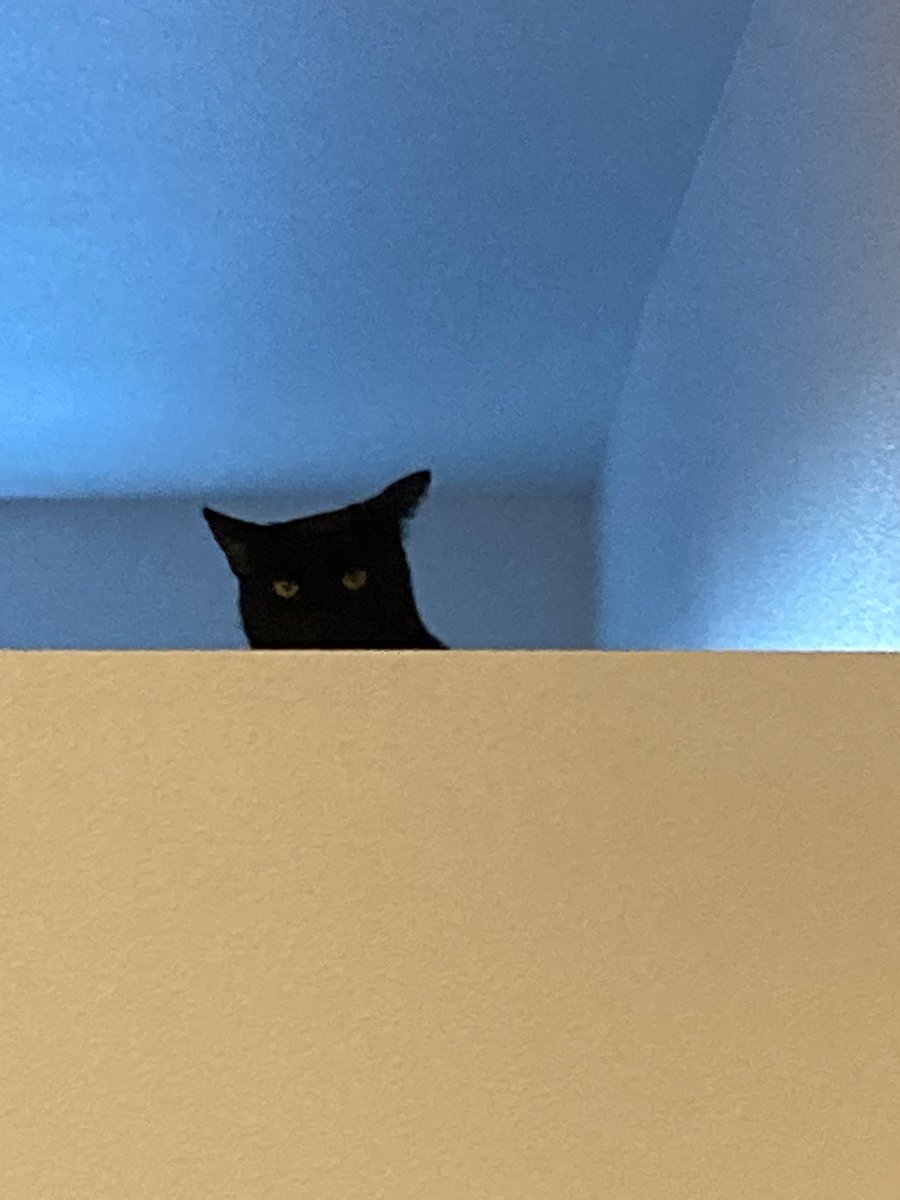 superbsteelo's tweet image. 