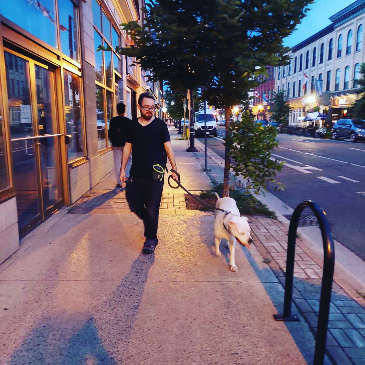 Walking the fish. #dogoargentino #Rescue #AdoptDontShop