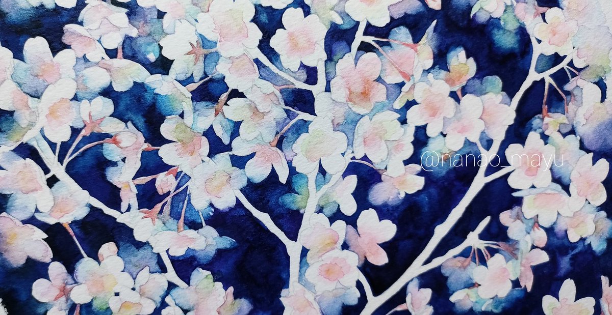 no humans flower traditional media cherry blossoms branch pink flower painting (medium) general  illustration images