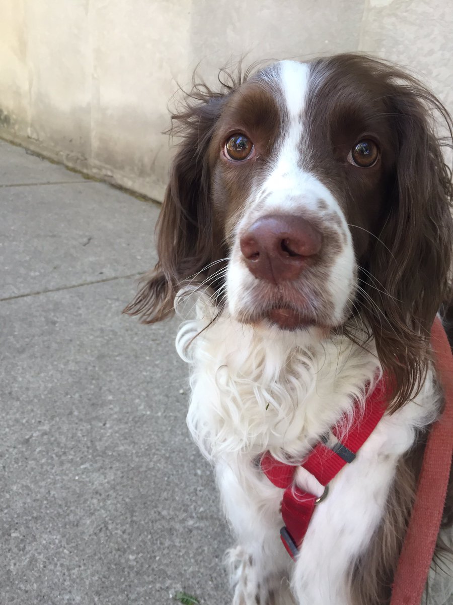 Spooky Flan tweet media