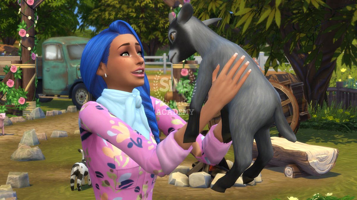 SimsAcademyinfo's tweet photo. Learn everything there is to know about Mini Goats &amp; Mini Sheep in #TheSims4HorseRanch  🐐🐑 You could say this guide is the G.O.A.T. 😎

https://t.co/5earyoYeWC https://t.co/bCDr8axUtS